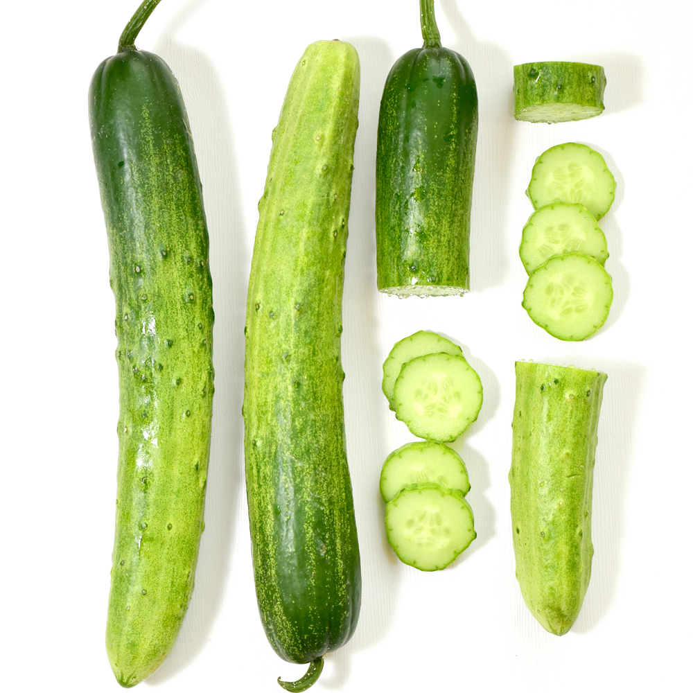 당일수확 백다다기 오이 5kg 10kg 산지직송 국내산 아삭하고 신선한 여름 제철 채소 야채