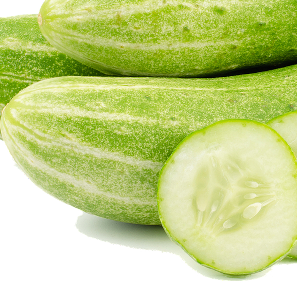 당일수확 백다다기 오이 5kg 10kg 산지직송 국내산 아삭하고 신선한 여름 제철 채소 야채