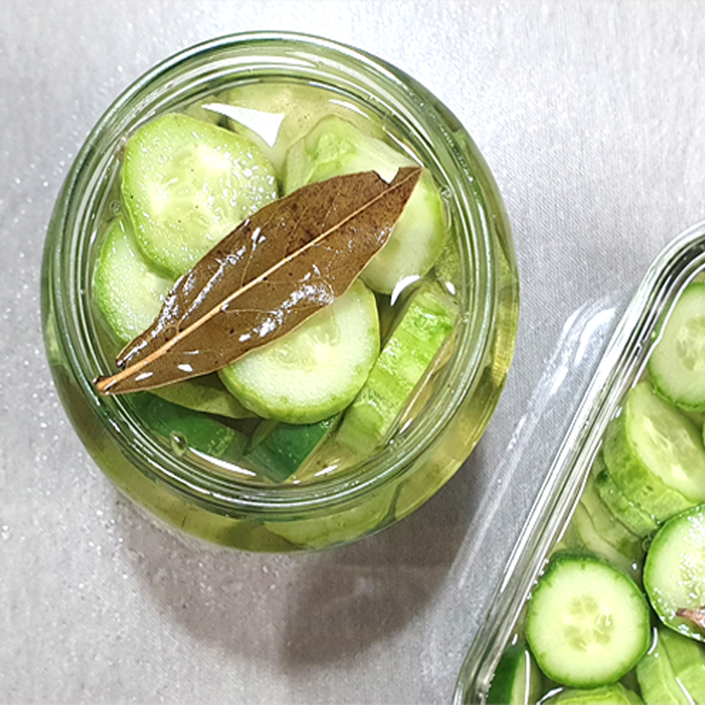 당일수확 백다다기 오이 5kg 10kg 산지직송 국내산 아삭하고 신선한 여름 제철 채소 야채