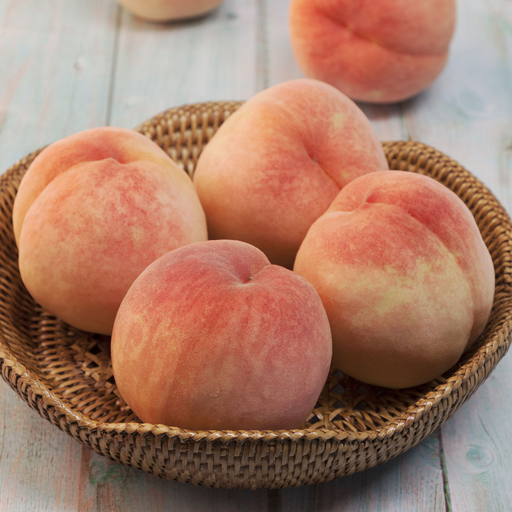 국내산 경북 제철 백도 복숭아 소 중 특대과 2-4kg