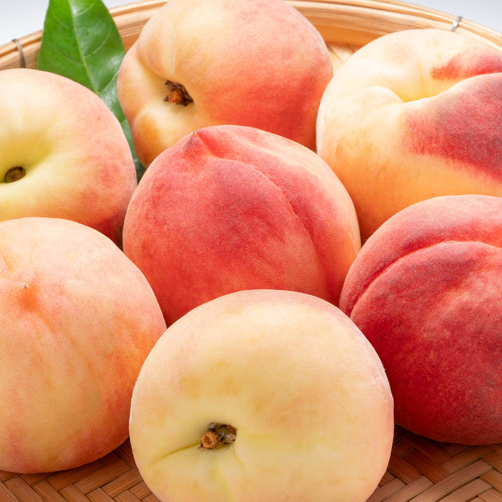 국내산 경북 제철 백도 복숭아 소 중 특대과 2-4kg