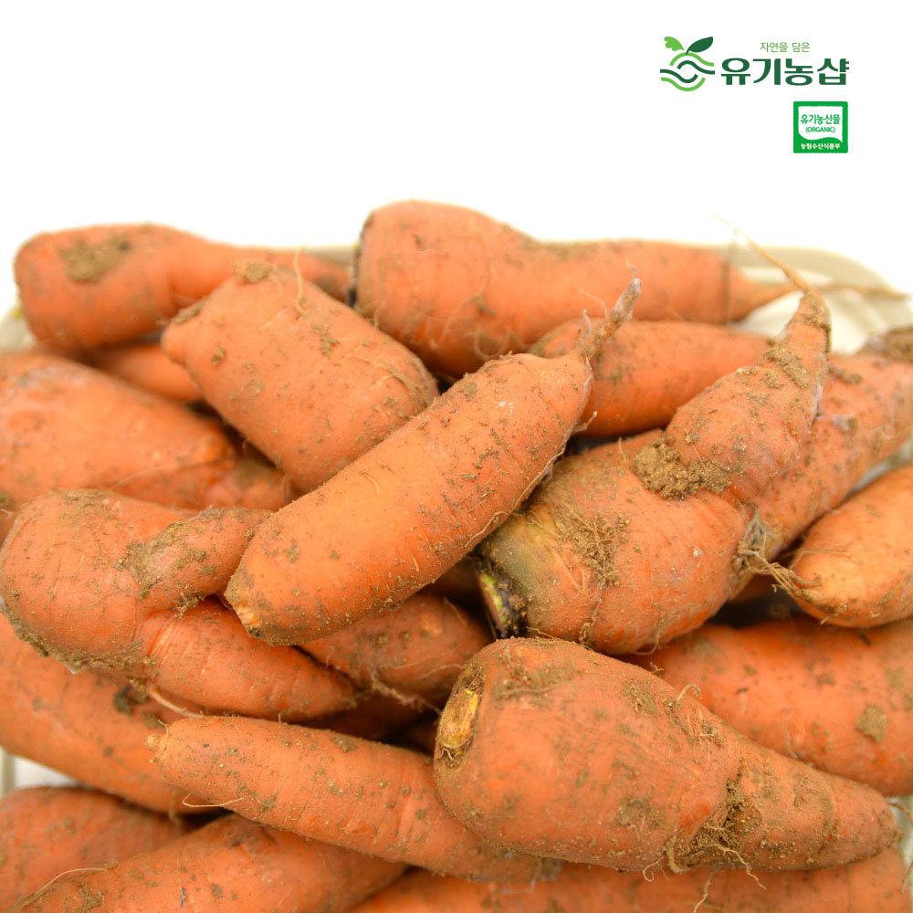 [초록한입] 국내산 유기농 못난이당근(주스용) 2kg