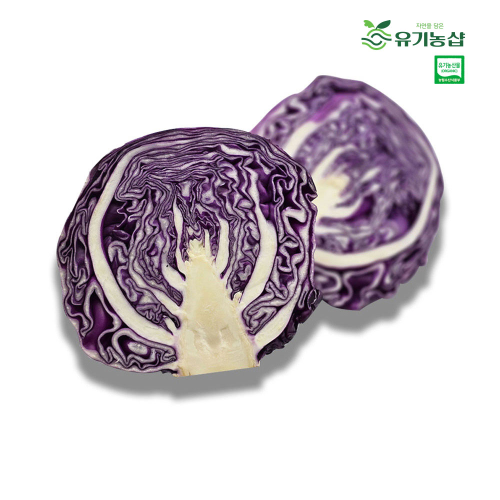 국내산 유기농 적양배추(적채) 2kg