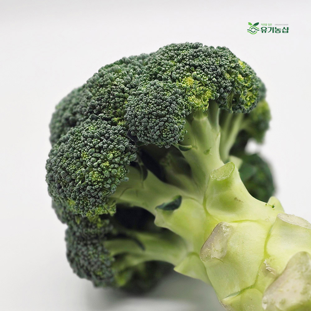 국내산 브로콜리 1kg