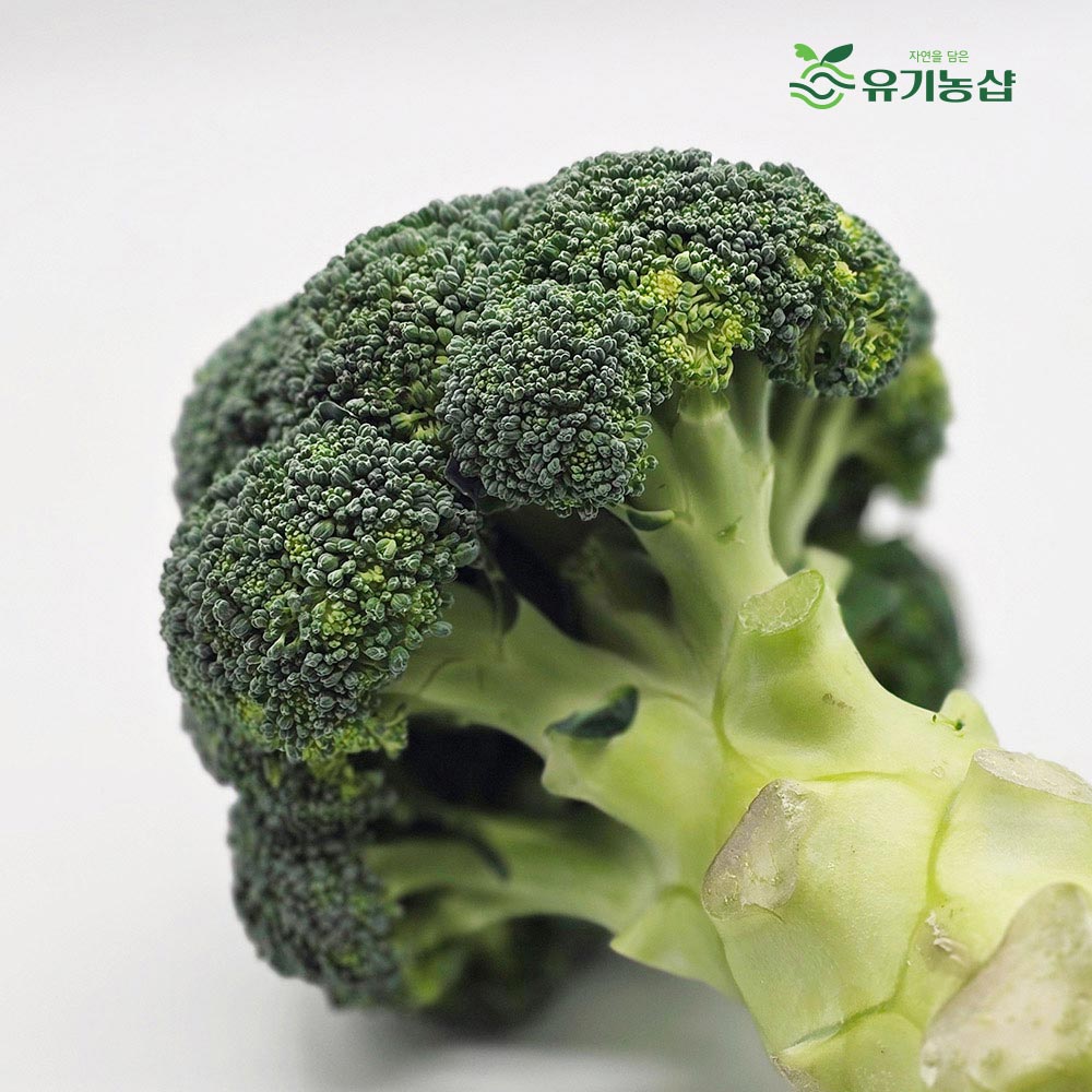 국내산 브로콜리 1kg