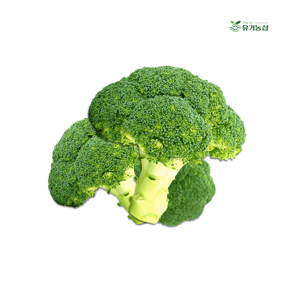 국내산 브로콜리 1kg