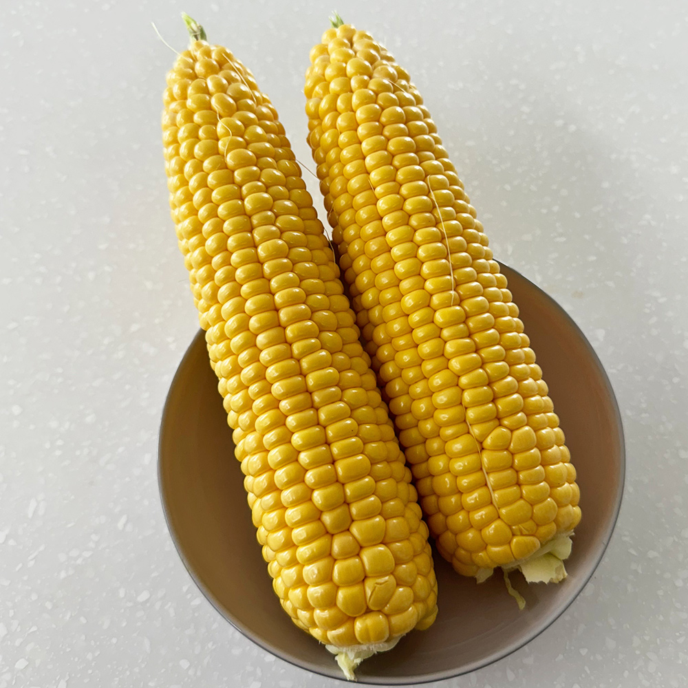 국내산 햇 초당옥수수 특품 5개 고당도 (14cm이상)