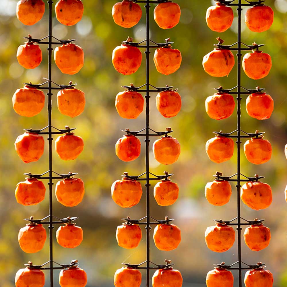 [선물세트] 영동 촉촉 호두 곶감 반건시