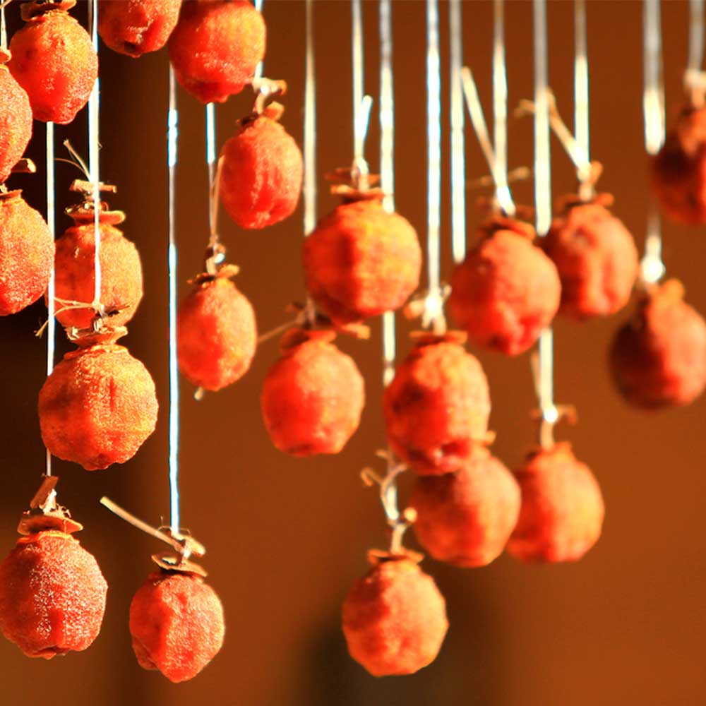 [선물세트] 영동 촉촉 호두 곶감 반건시