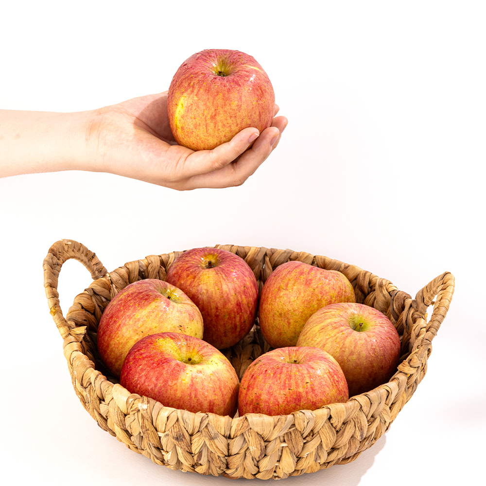 직접 선별한 고품질 부사 사과