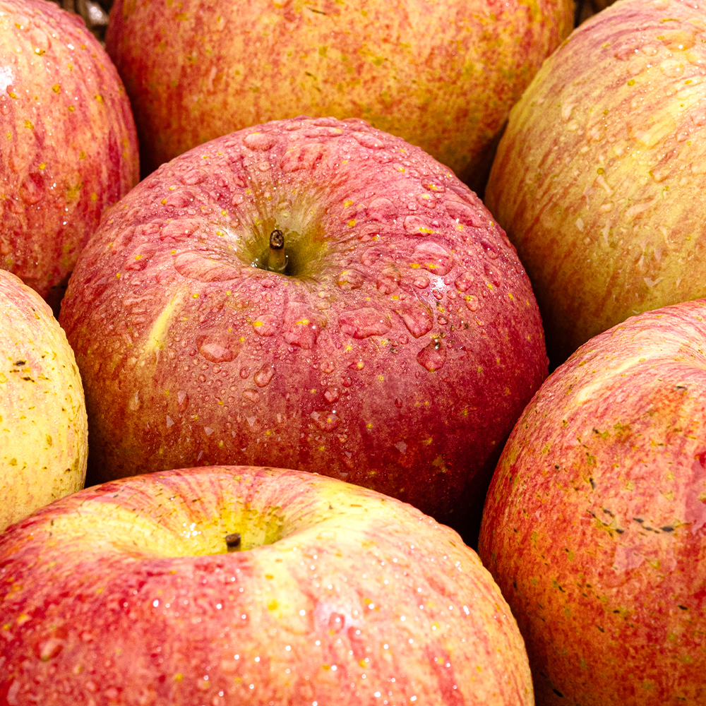 직접 선별한 고품질 부사 사과