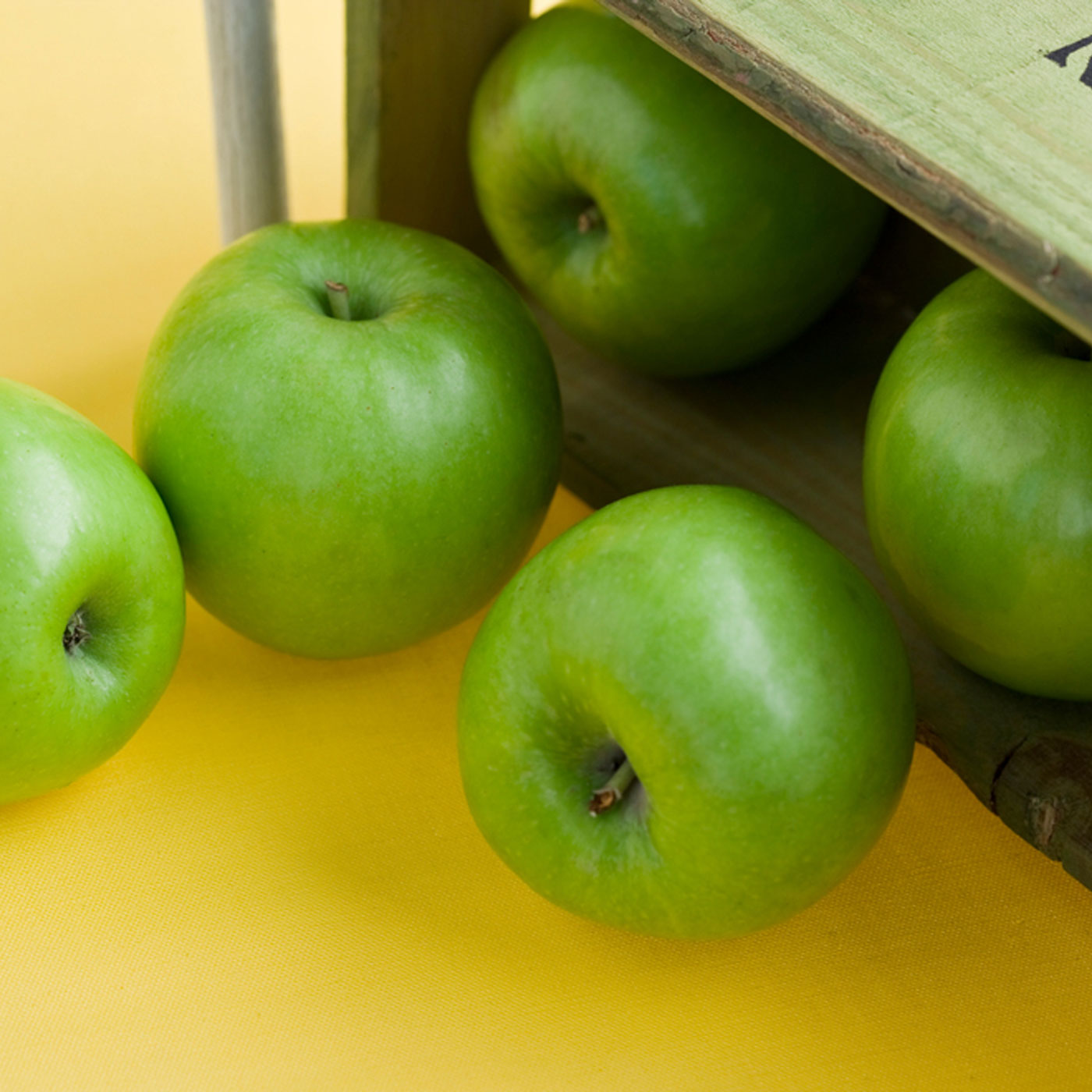 첫수확! 싱그러운 여름 아삭달콤 썸머킹 사과