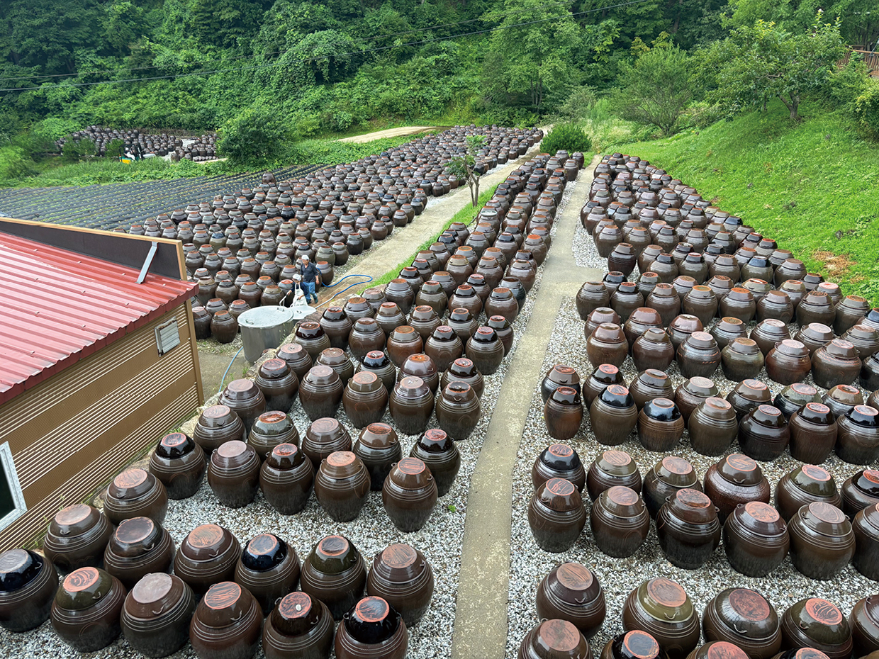 방주명가 방주품보리고추장 900g