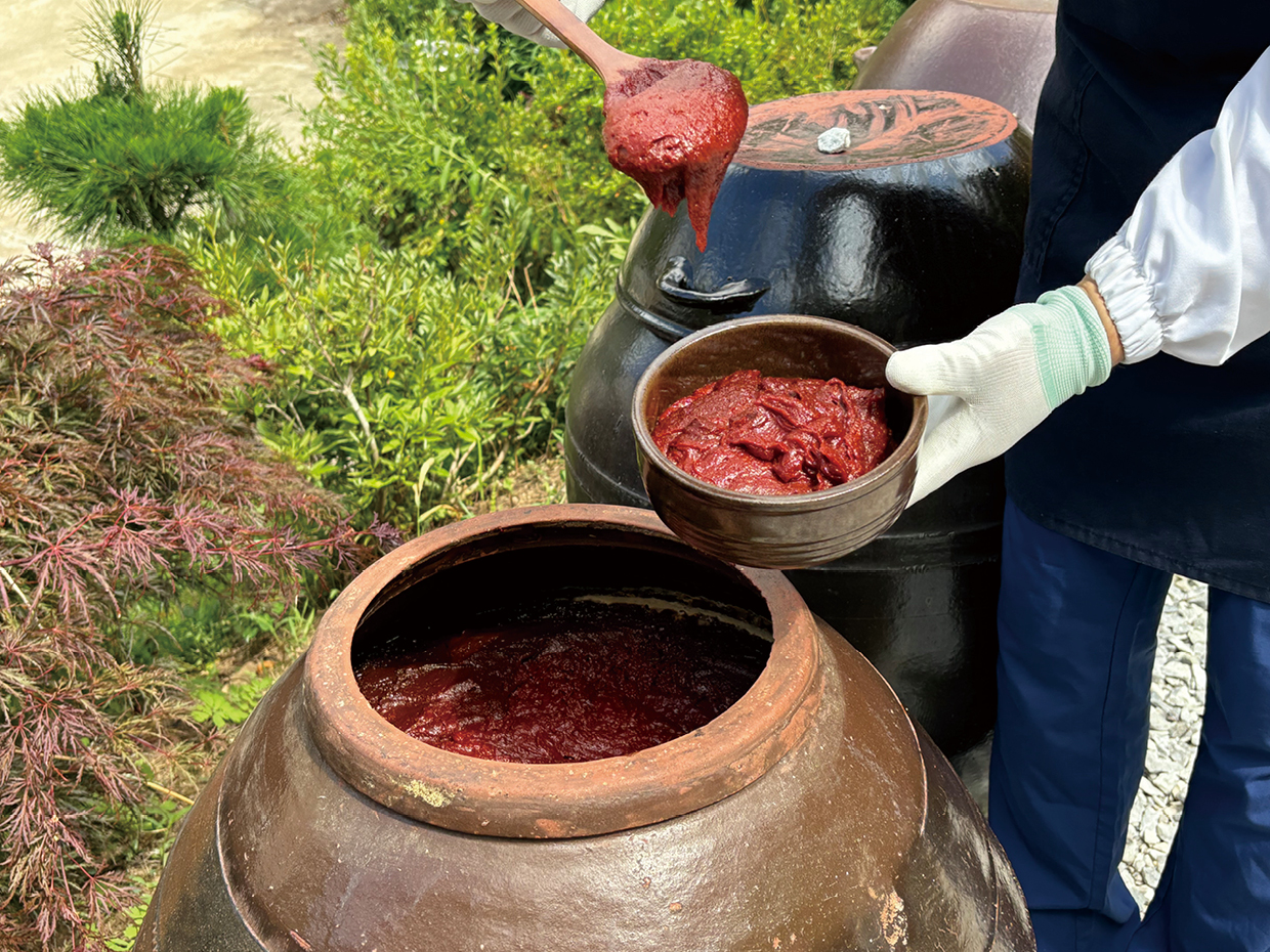 방주명가 방주품보리고추장 430g