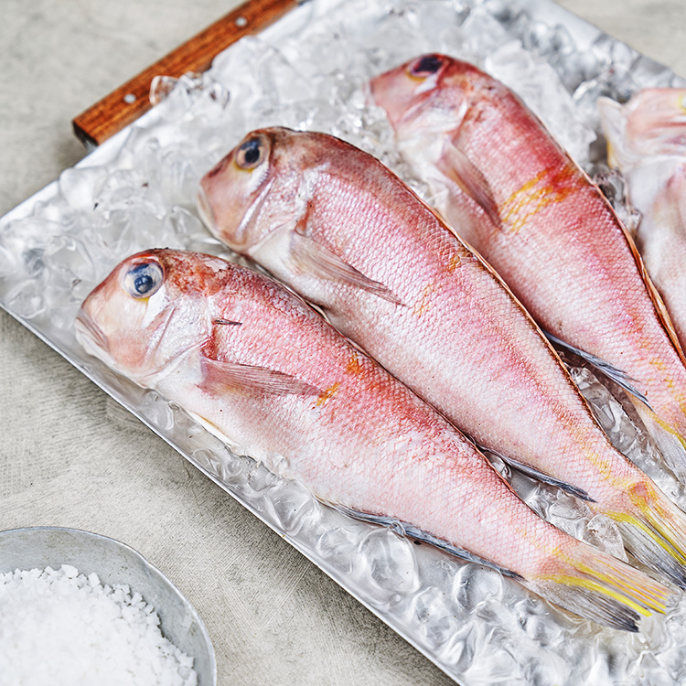 손질된 제주 통옥돔 (140~200g, 냉동)