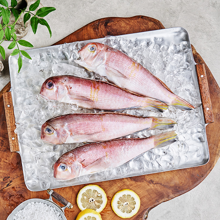 손질된 제주 통옥돔 (140~200g, 냉동)