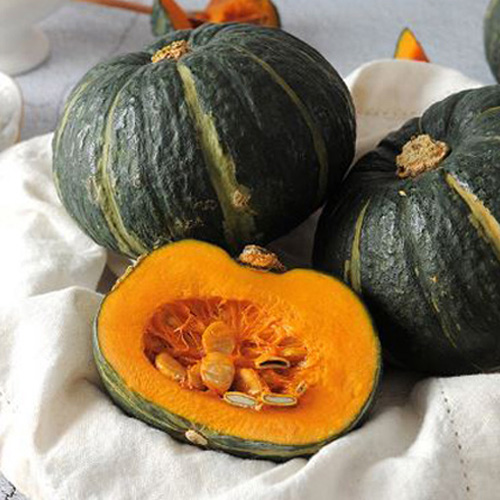 [첫출하/산지직송] 제주 특품 밤호박 [2.5kg-4.5kg] [익일출고]