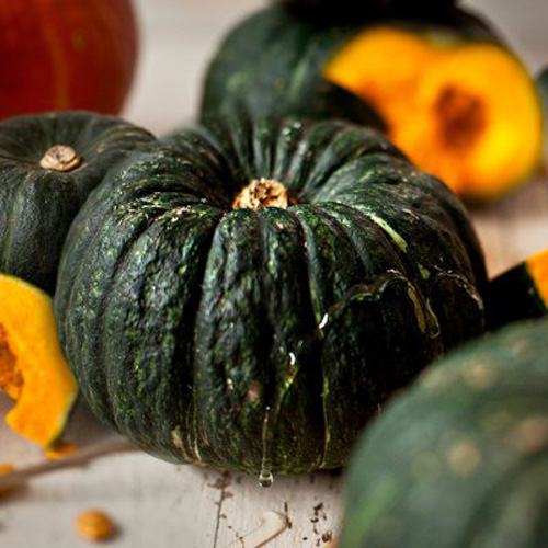 [첫출하/산지직송] 제주 특품 밤호박 [2.5kg-4.5kg] [익일출고]