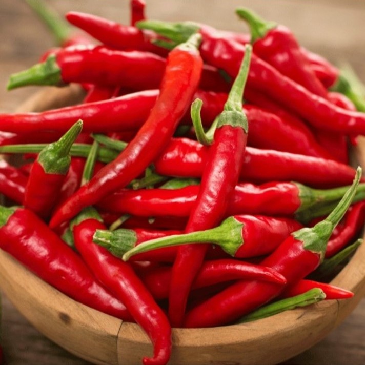 해남 고추 홍고추 빨간고추 물고추 5kg 10kg