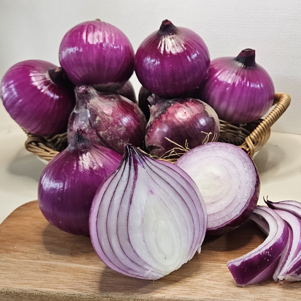 창녕 양파 자색양파 햇양파 적양파 빨간양파 2kg 3kg 4kg 5kg