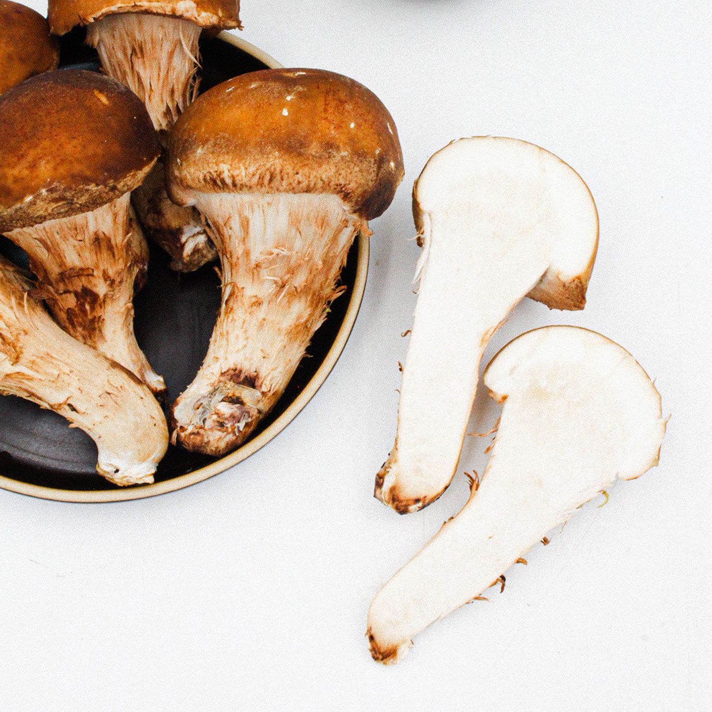 소중한 가족을 위한 최상의 참송이 버섯