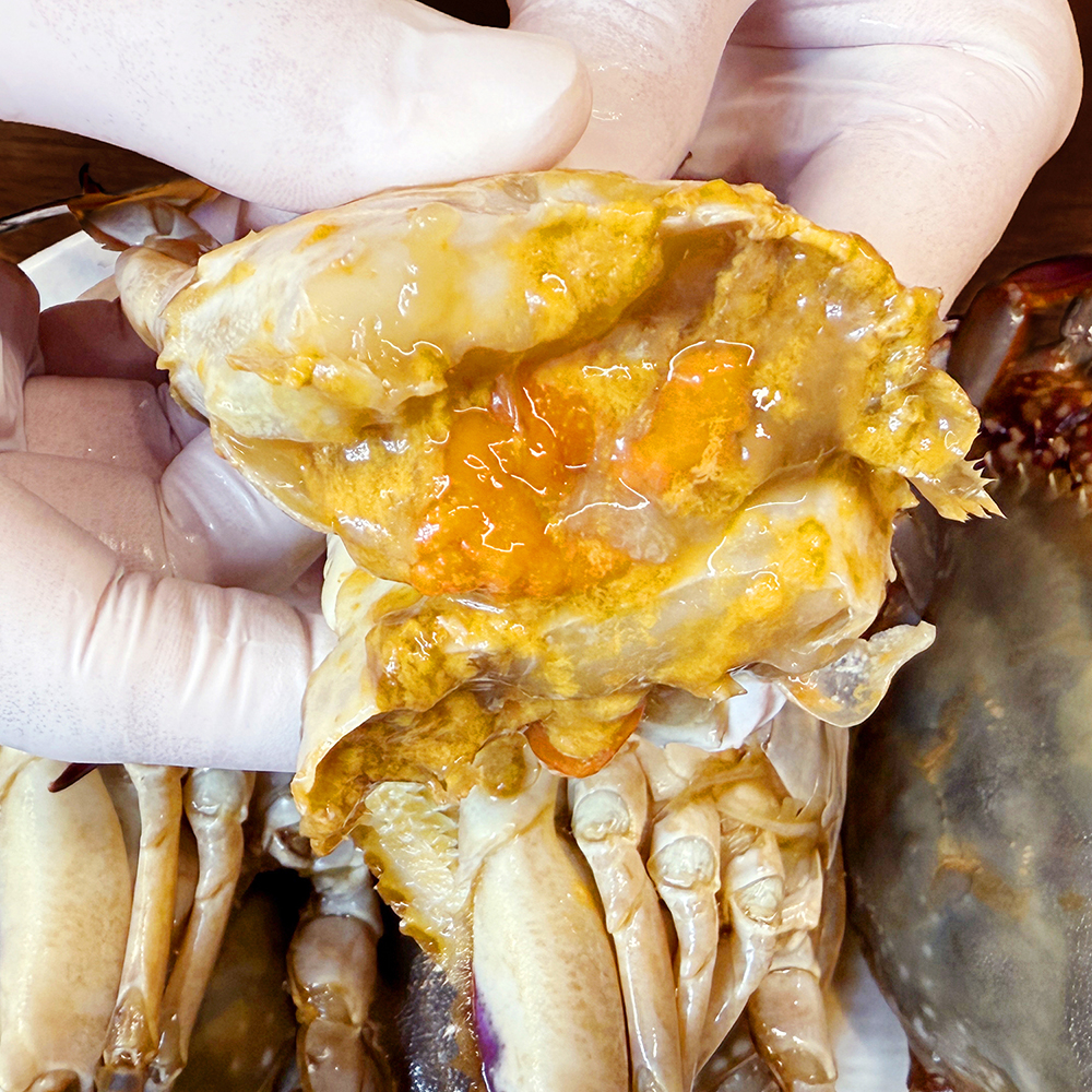 [해로식탁] 국내산 연평도 알배기 암꽃게 간장게장 2.4kg, 1개