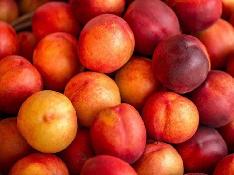 새콤달콤 망고 천도복숭아 옐로드림