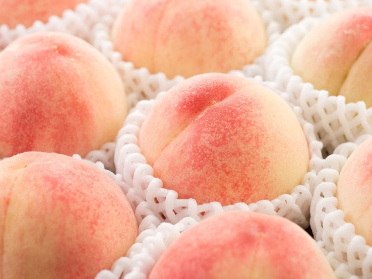 국내산 고당도 백도 딱딱이복숭아 아삭이