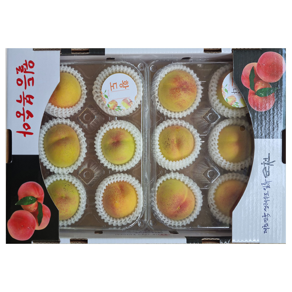 순천 황도 복숭아 2.5kg (14과) 향긋한 제철 과일 여름 선물 산지직송