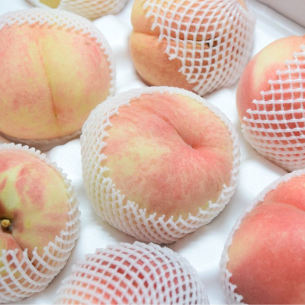 순천 백도 복숭아 4kg (13-14과) 탱글탱글한 딱딱이 딱복 제철 과일 여름 선물 산지직송