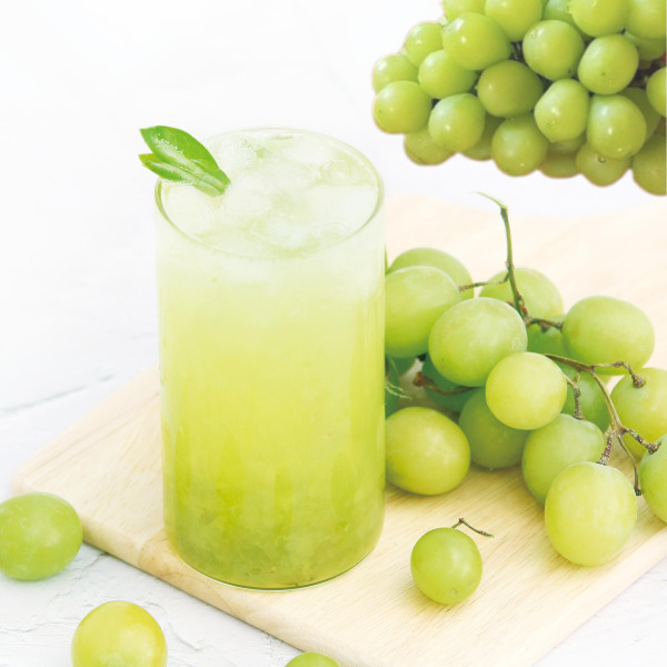 [산지직송] 고당도 프리미엄 샤인머스켓 샤인 망고 포도 샤인