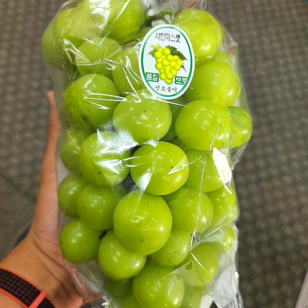[산지직송] 고당도 프리미엄 샤인머스켓 샤인 망고 포도 샤인