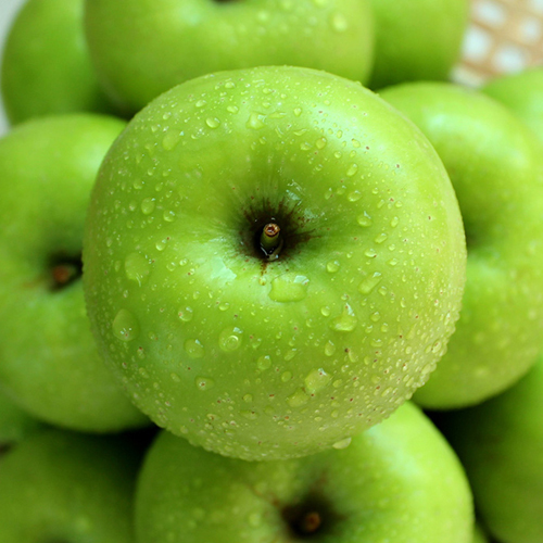 [햇사과] 과즙많은 여름사과_썸머킹 사과 2kg(12과 내외)