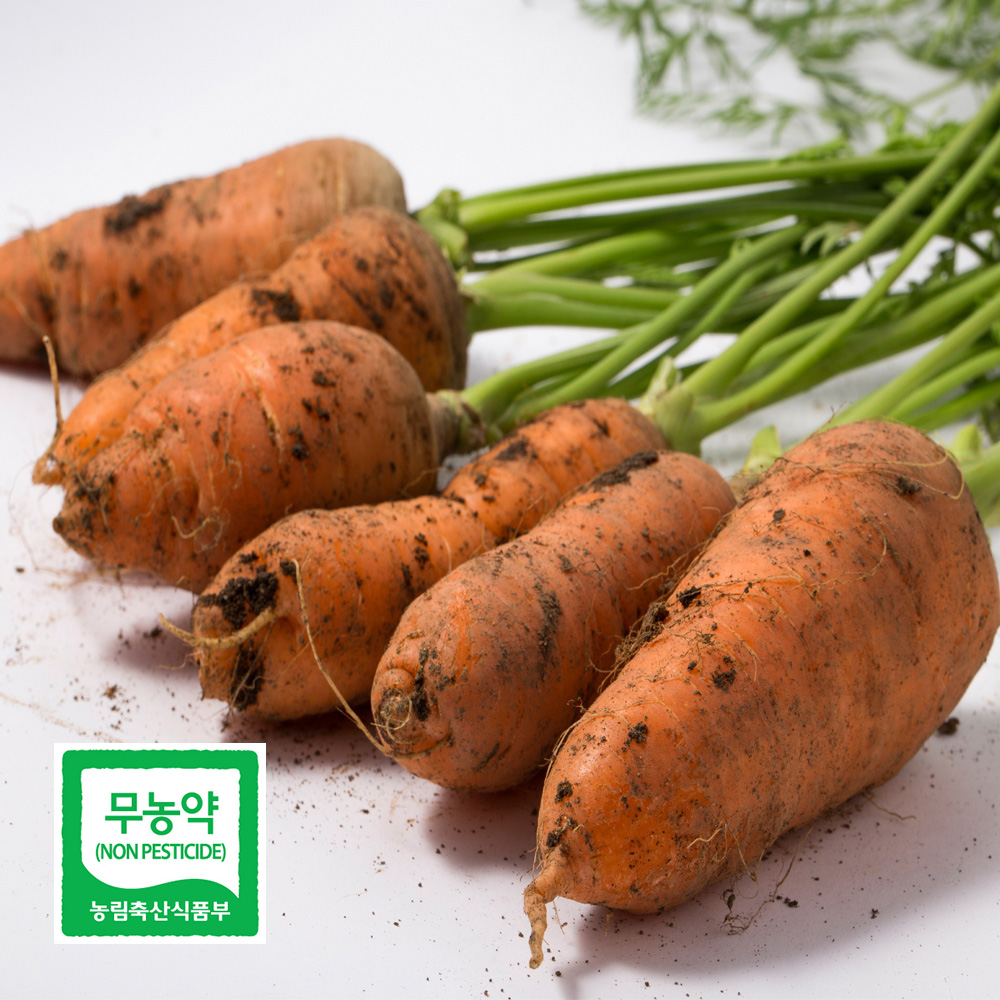 친환경 당근 특 상 중 못난이 즙용 2kg 3kg 5kg 국내산 채소 야채 흙당근