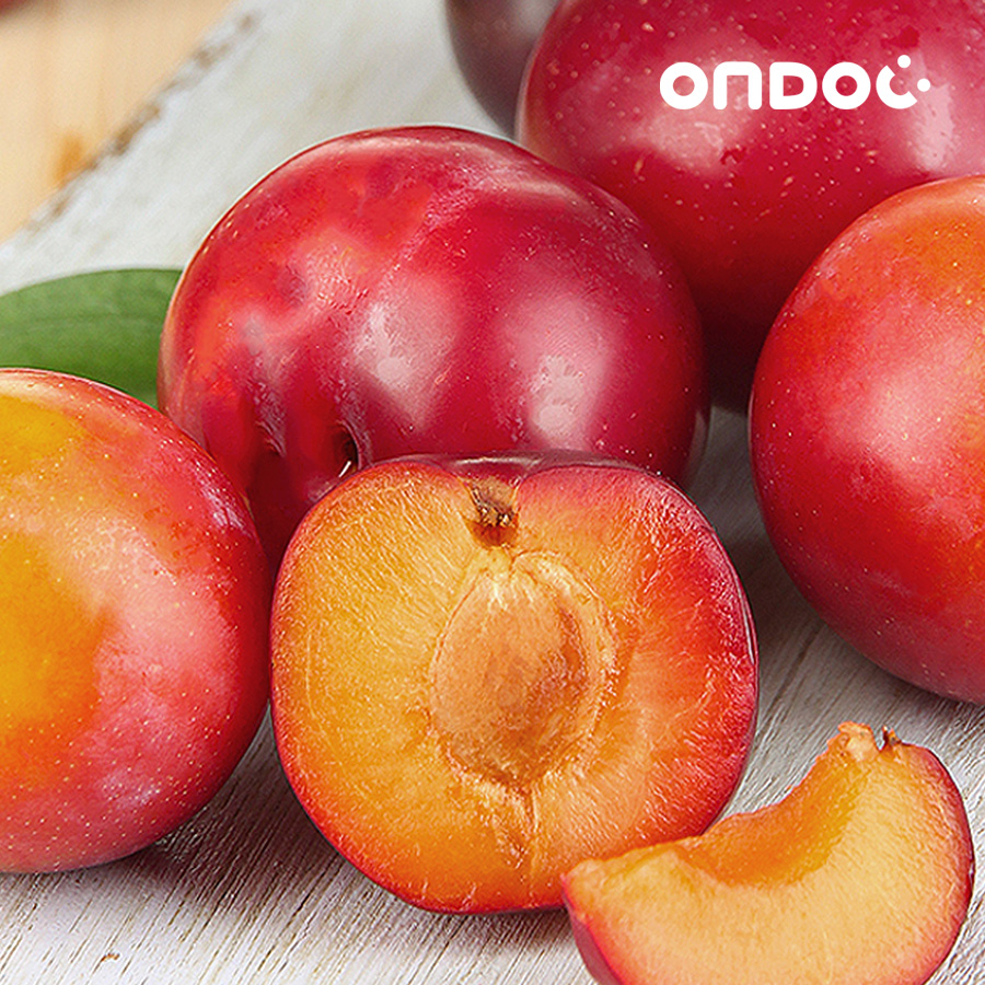 [온도씨] 경북 햇자두 와촌자두 모음전