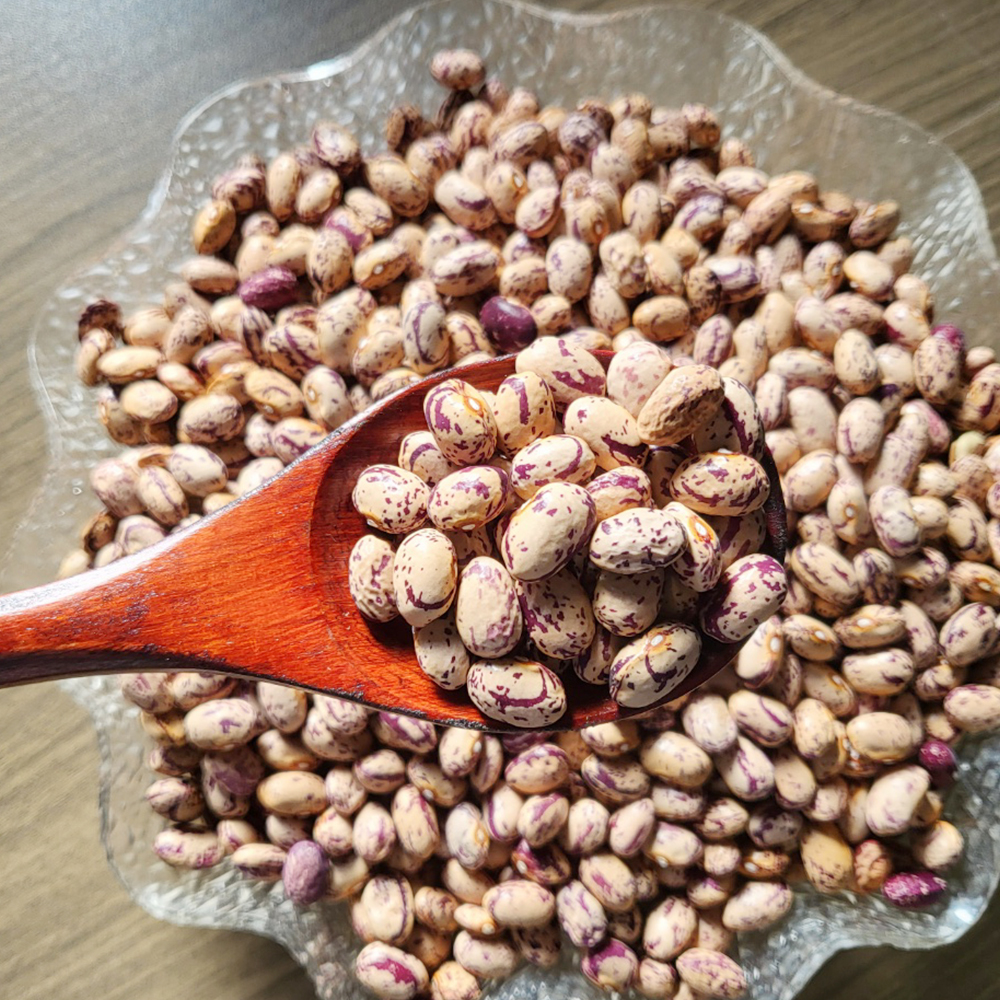[알록달록] 어흥 깐 호랑이콩 호랑이 강낭콩 500g 1kg 2kg 냉동