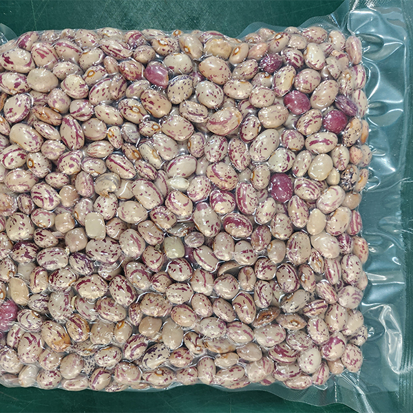 [알록달록] 어흥 깐 호랑이콩 호랑이 강낭콩 500g 1kg 2kg 냉동
