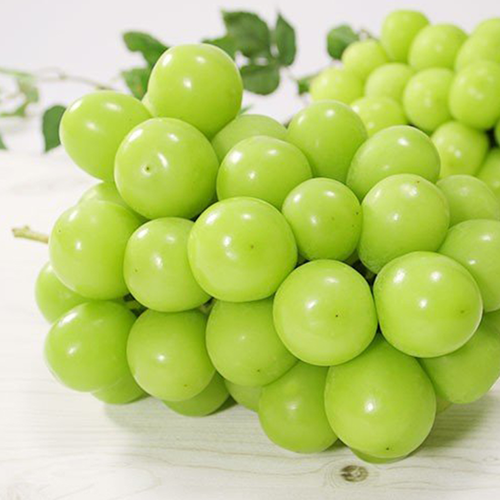 저탄소 샤인머스캣 (500g/650g)