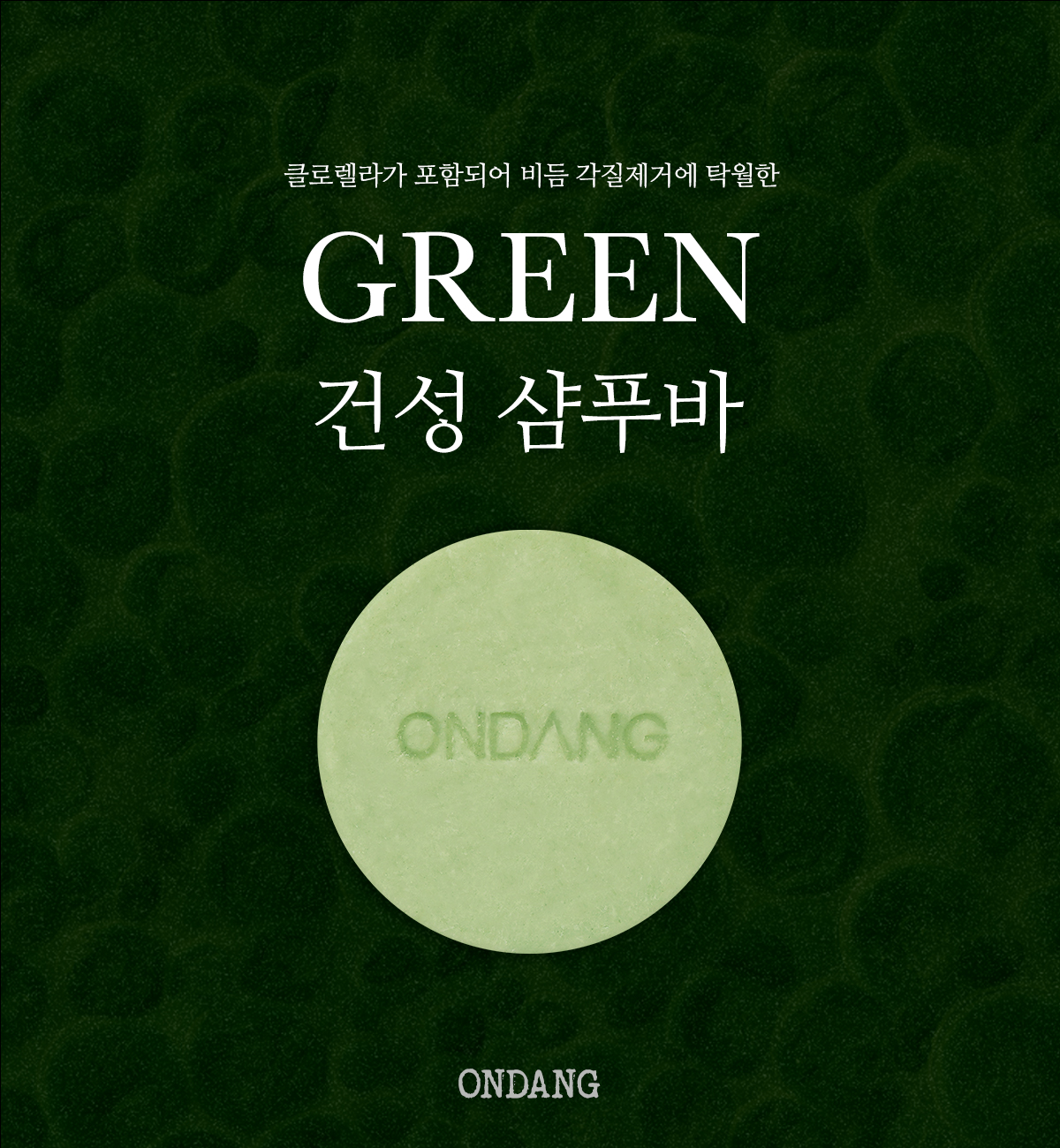 Green 고체 건성 샴푸바