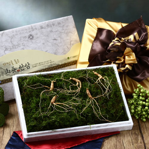국내산 산양산삼 선물세트 5년근 (5뿌리/10뿌리) 대표이미지 섬네일