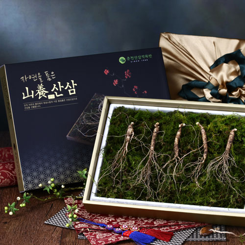 국내산 산양산삼 선물세트 7년근 (5뿌리/10뿌리)