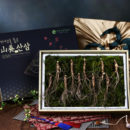 국내산 산양산삼 선물세트 7년근 (5뿌리/10뿌리)
