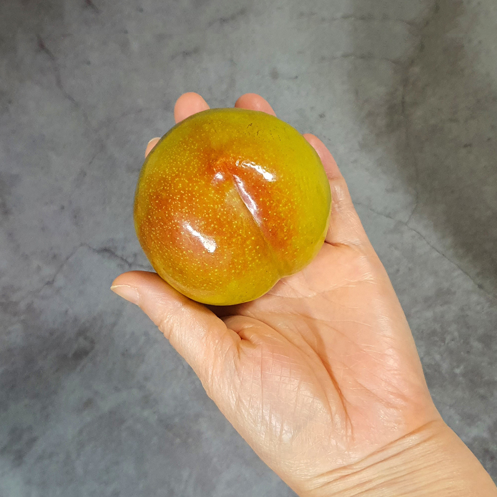 새콤달콤한 여름 대표 자두 영천 후무사 자두 2kg