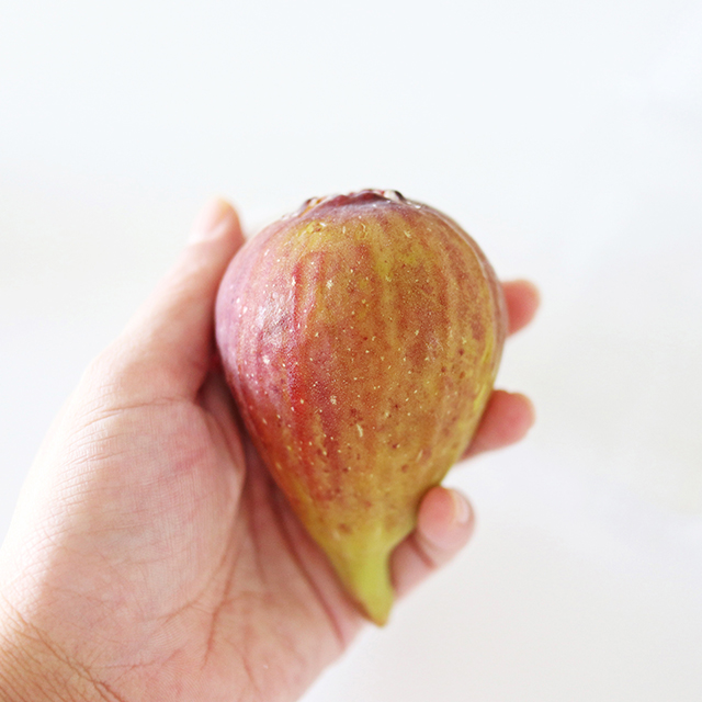 영암군 산지직송 무화과 GAP 당일수확 홍무화과 1 2 3kg