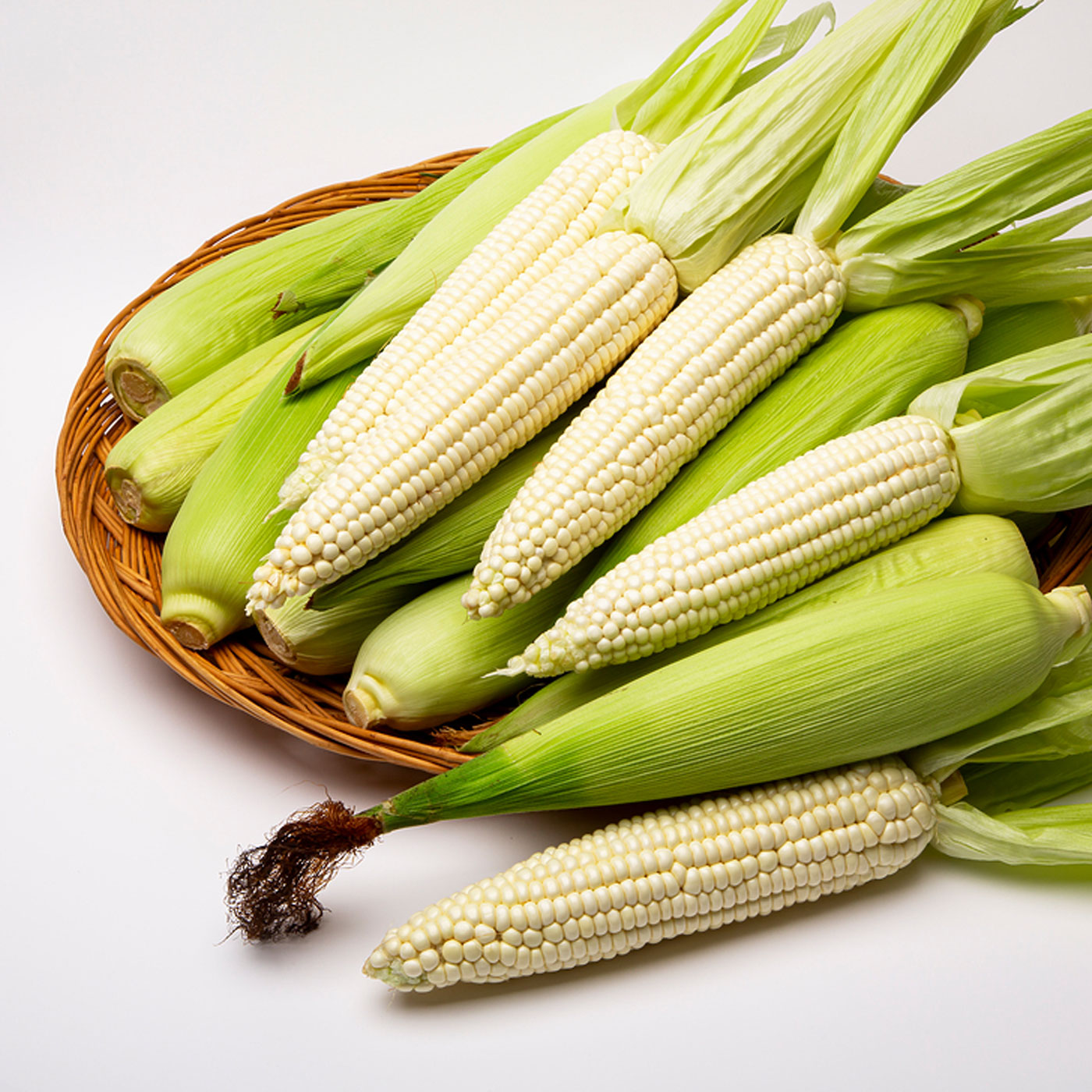 쫀득한 식감 최고 미백 찰옥수수