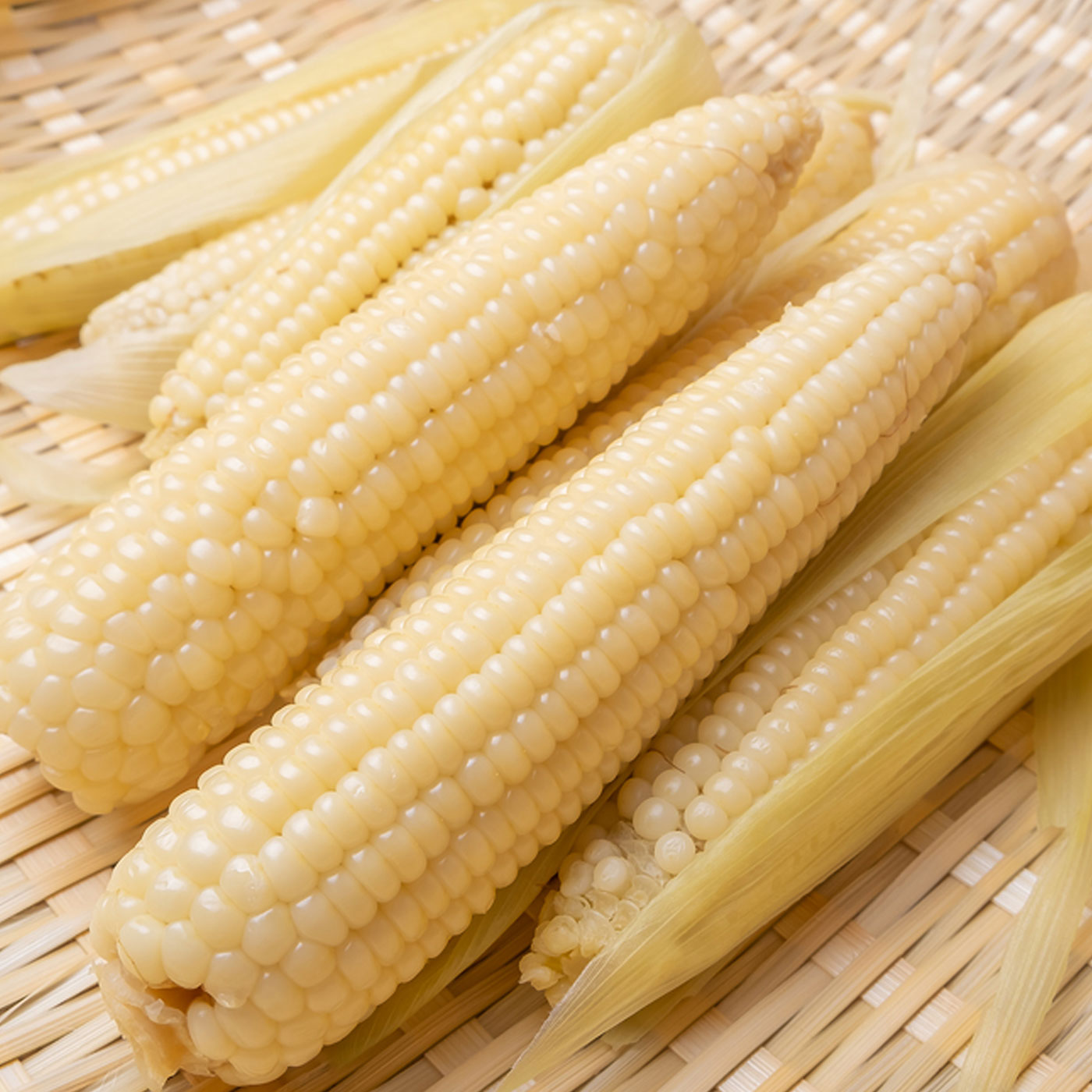 쫀득한 식감 최고 미백 찰옥수수