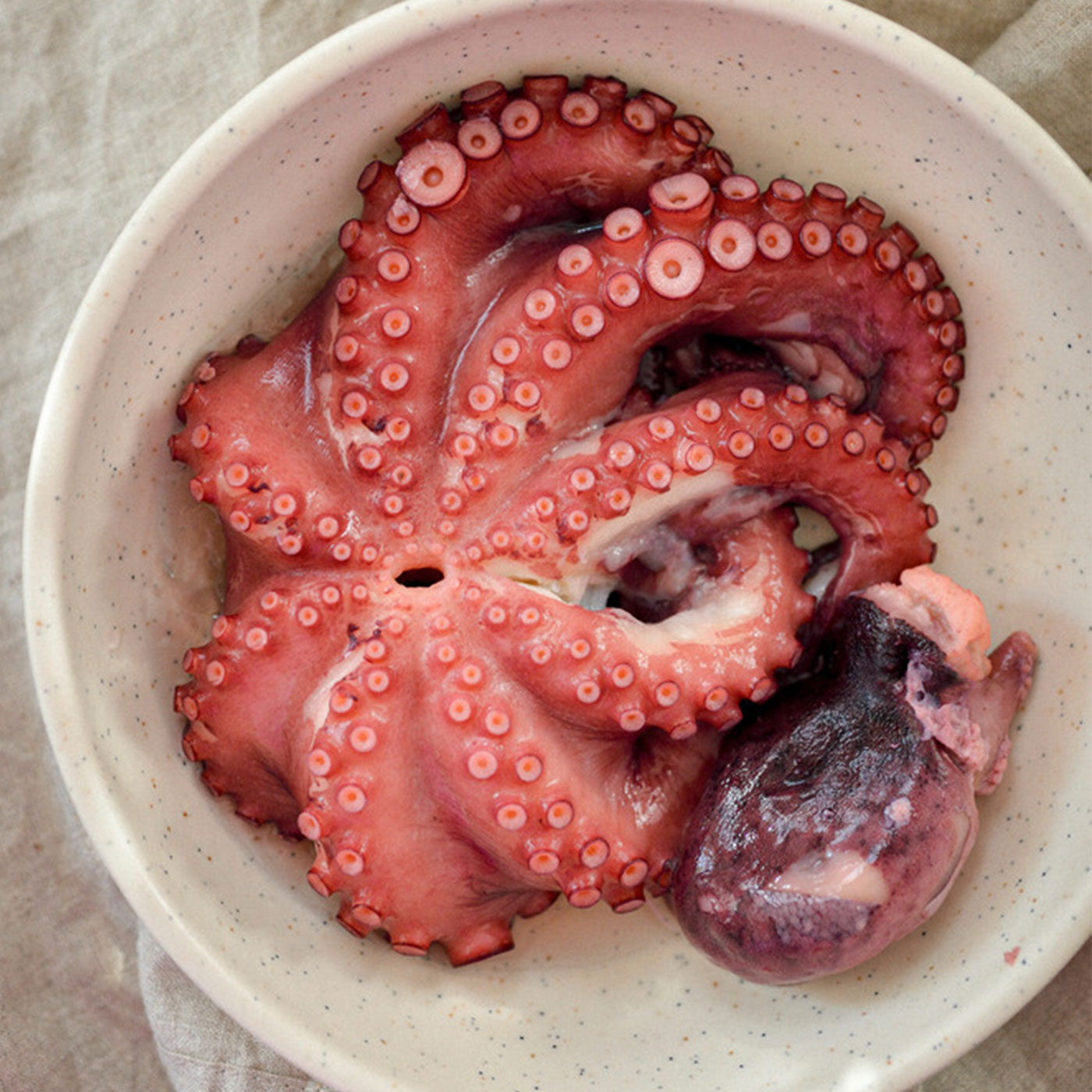 청정지역 통영에서 온 돌문어 고급 제수용