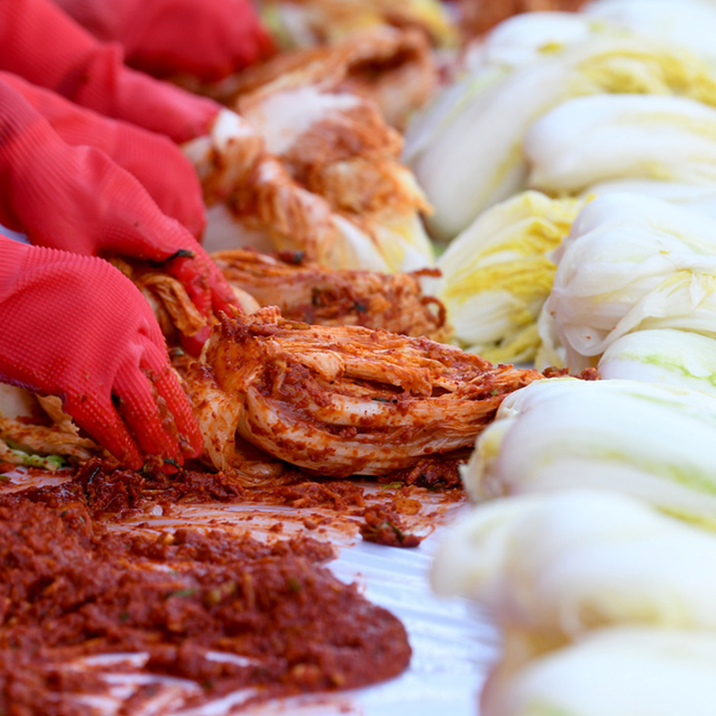 비법을 담은 프리미엄 국내산 100% 포기 김치