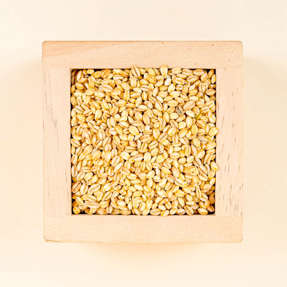 25년 국산 유기농 찰보리 1kg