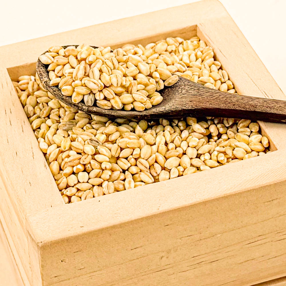 25년 국산 유기농 찰보리 1kg